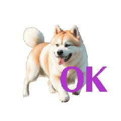 akita dog move E