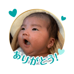 Pom_20250505180741
