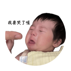 小莓的日常生活