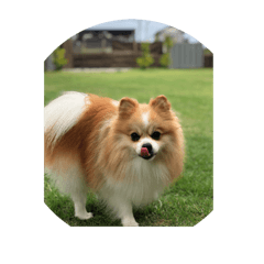 mickey_20250505161300
