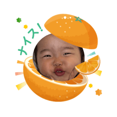 Taro_20250505224757