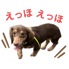 rina_20250505224812