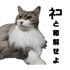 suyama_20250505225012