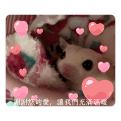 焦糖與布丁（母親節篇）
