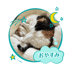 sherry_20250505230326