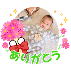 Suzuki_20250505232001