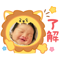 Ponzu_20250505232830