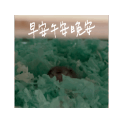 17ㄉ小寶貝