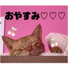 akanen_20250505170906