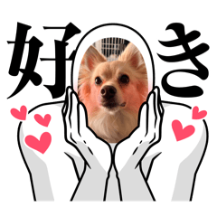 ROY_20250505194119