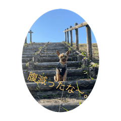 MASAKI_20250505KAL