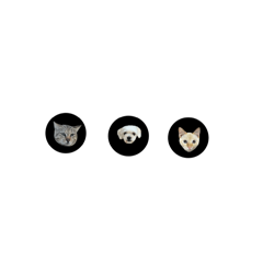 ji_20250505194355