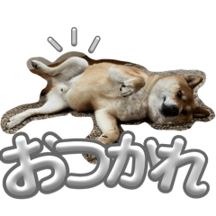 Mayu_20250506001647