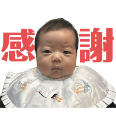 sanae_20250506002902