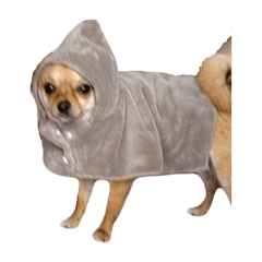 muni(dog)