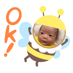 HARU_20250506004009