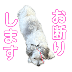 mikan_20250506030752