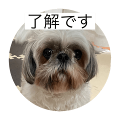 hana_20250505121824