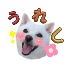 uniko_20250505183848