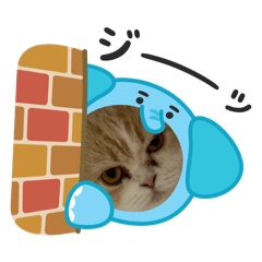 NINANONICHIJODAYO