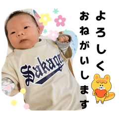 Sak_20250505204330