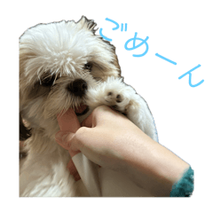 Kana_20250505204905