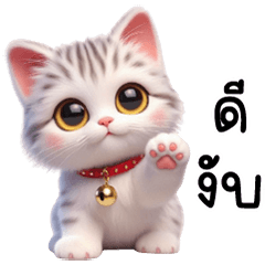 แมวเมกันหูตั้งตาโต น่ารัก ปลอกคอแดง