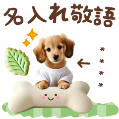 名入れ敬語の癒しダックス