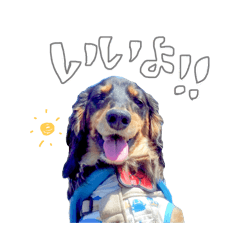 maho_20250505223636