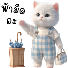 เหมียวขาวชุดฟ้าหน้ามั่น