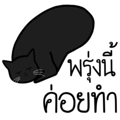 Black cat and a lazy day
