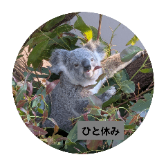@ajdwtmwtmwtamxtjwtajkpadwtjPk(adwt2999.