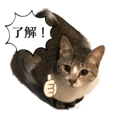 arisa_20250505230202