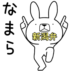 Dialect rabbit [niigata3]