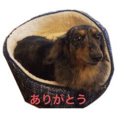 nao_20250506124238