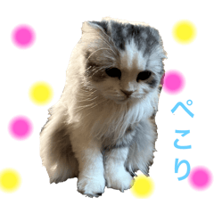 aym_20250506063902