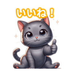 Super cute Korat!