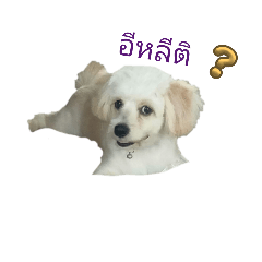 Warangkana Saitanoo_20250505212858