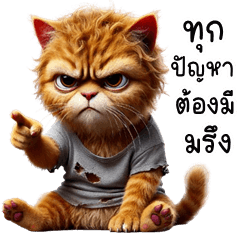 Funny Dirty cat (THAI)