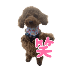 ruru_20250505180213