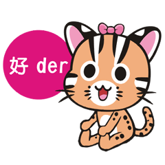 Leopard Cat sister - the daily