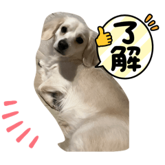 misaki_20250506013033
