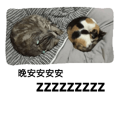 milu ft. kiki