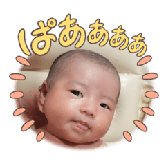 leo_20250505202619