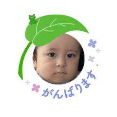 tomo_20250506092616