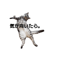 Nekono_nekomaru