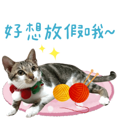 咕嘰撒嬌貓