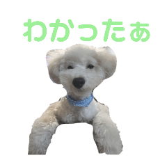 K_20250506094610