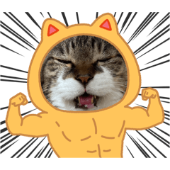 nandemoiiyo_20250506102339