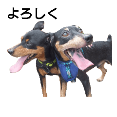 Choko&kuu